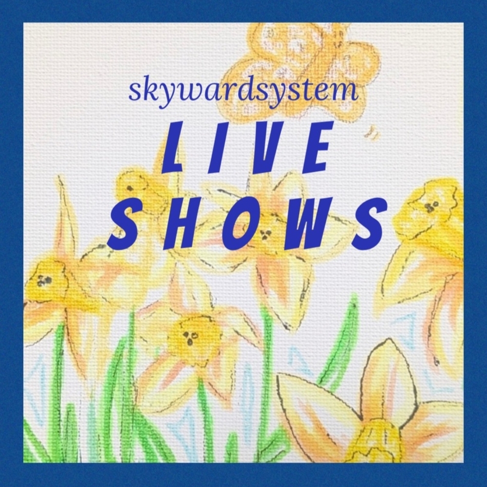 Like To Be Notified: Amber (and Skyward System) Live Show!
